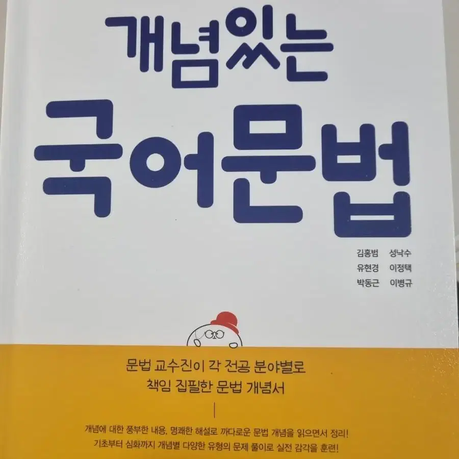 개념있는 국어문법 책