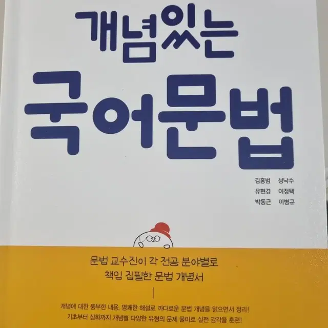 개념있는 국어문법 책