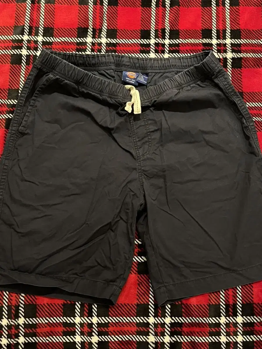 Dickies Washed Navy Vahn (XXL, 36-38 inch)