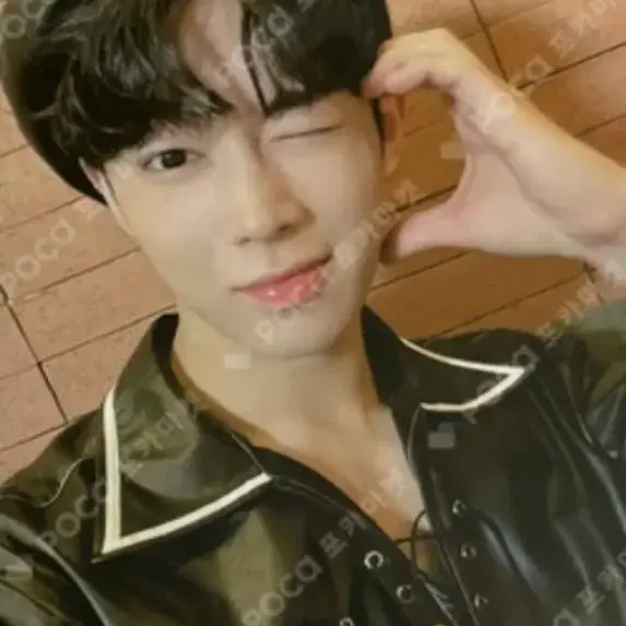 sf9 다원 공식 생카 생일카페 포카