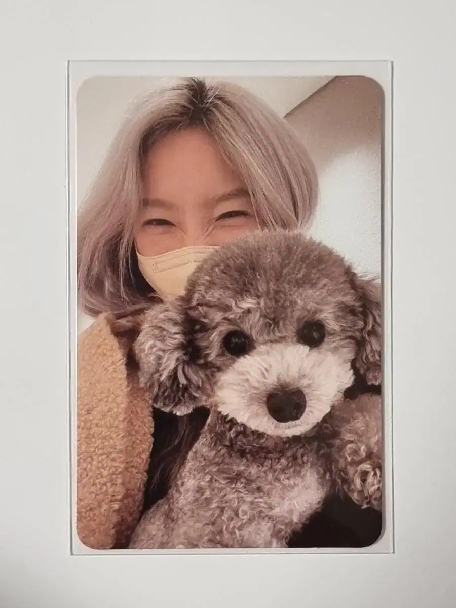 invu taeyeon photocard zerowatin zerowatin zerowatin