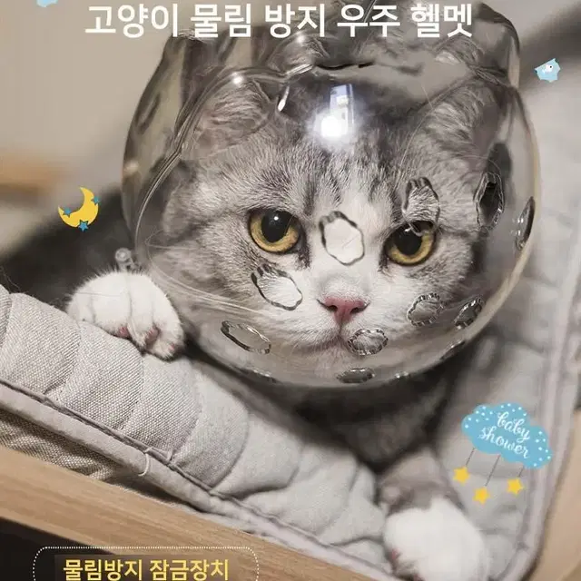 고양이 우주헬멧 입마개 투명 보호대 마스크 입막이 커버 안전장치