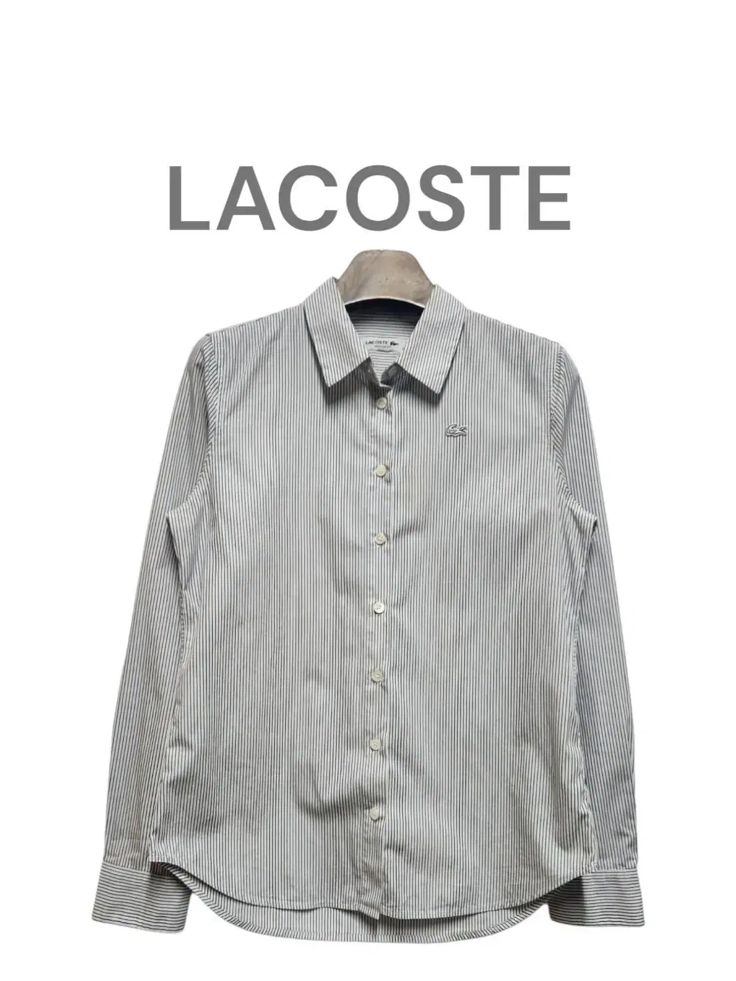 [34] LACOSTE 라코스테 알비노 로고 여성 스트라이프 셔츠