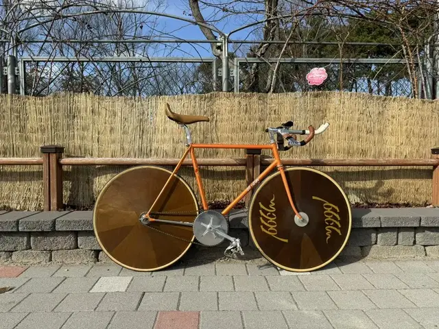 NJS SAMSON PISTA