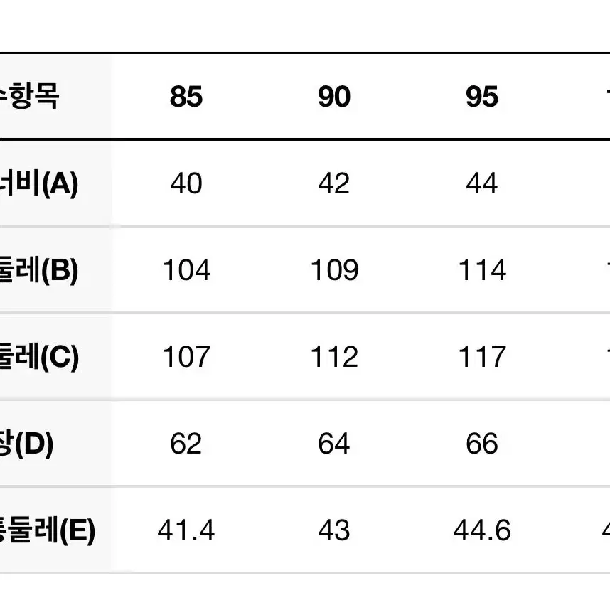 디스커버리 패딩