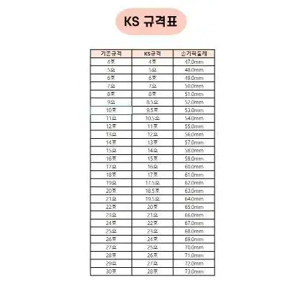 반지호수 반지사이즈 측정 플라스틱 링게이지