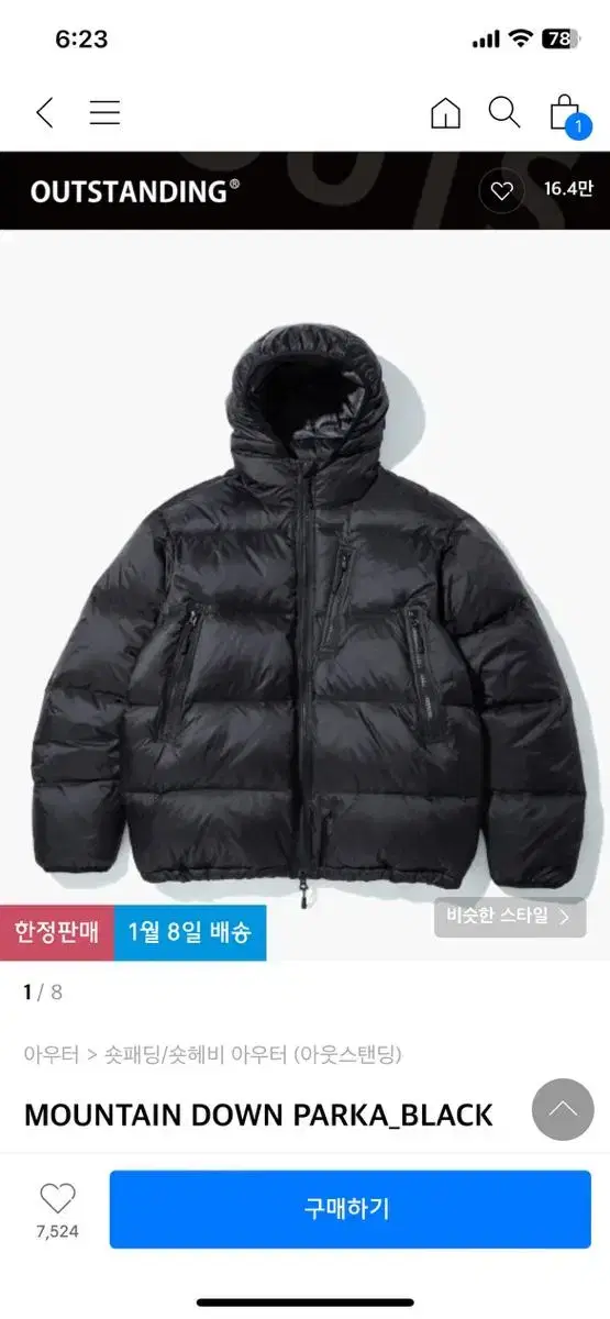 Outstanding Mountain Down Parka L