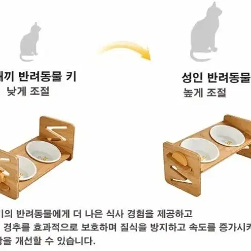 애완동물 우드 세라믹 높이조절 밥그릇