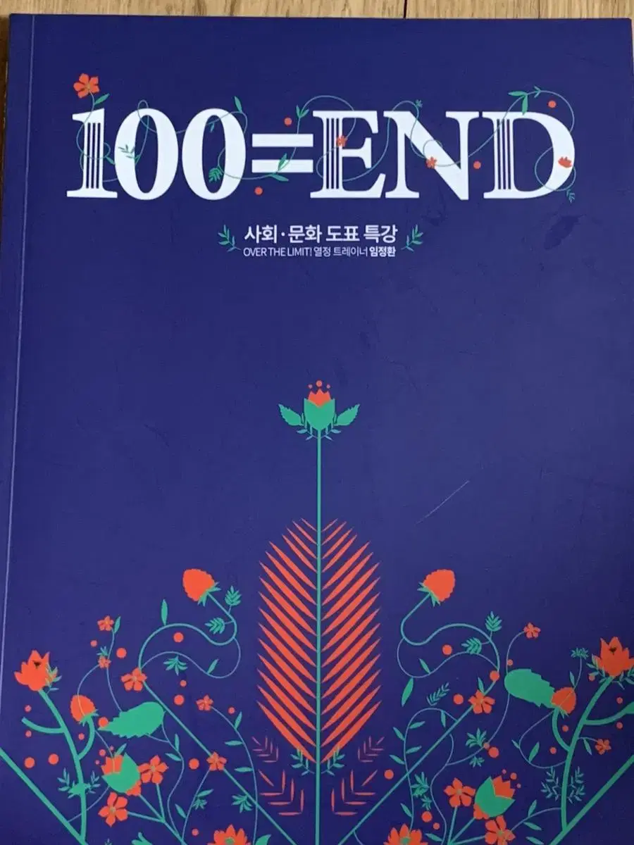 임정환 사회문화 도표 백엔드 100=END