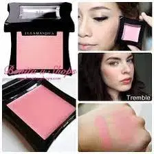 Illamasqua 일라마스카 블러셔 tremble 트엠블