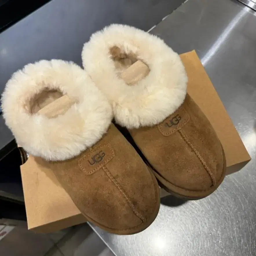 UGG 타제트 체스트넛 240mm