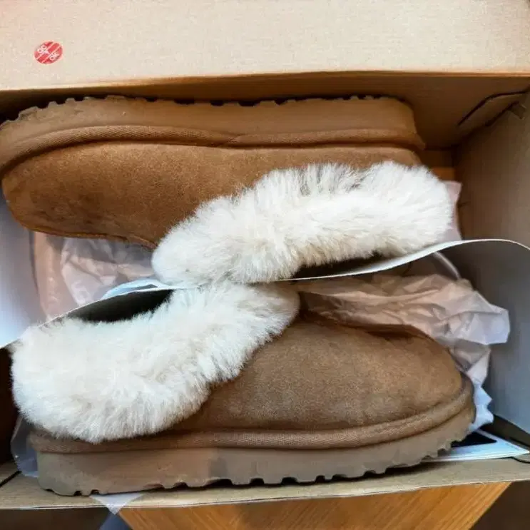 UGG 타제트 체스트넛 240mm