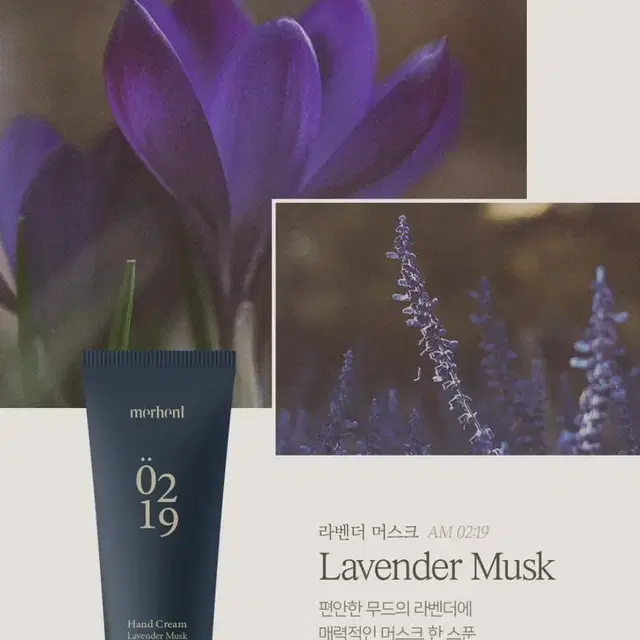 메르핸트 퍼퓸 드 핸드크림 50ml x 4개입