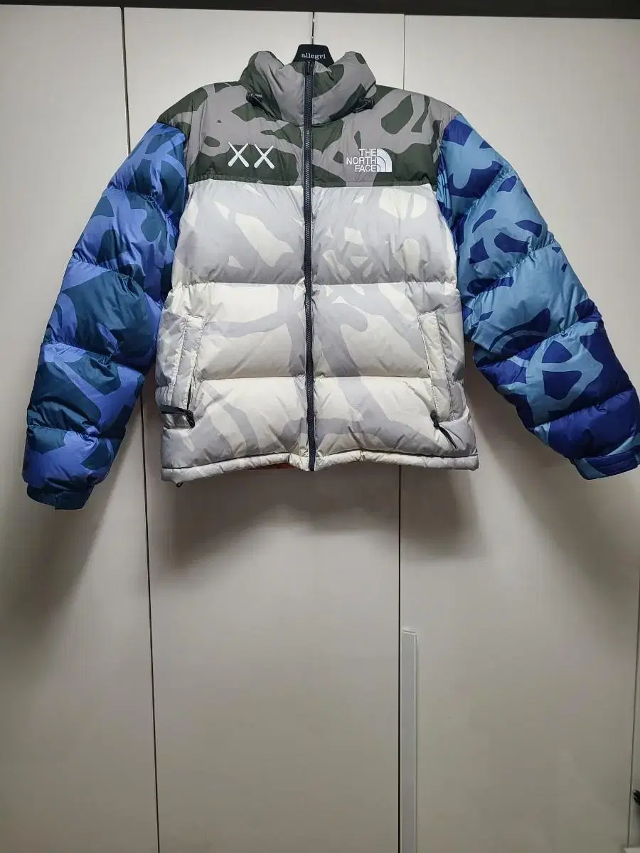 The North Face X Causes 1996 Nopsi Padding