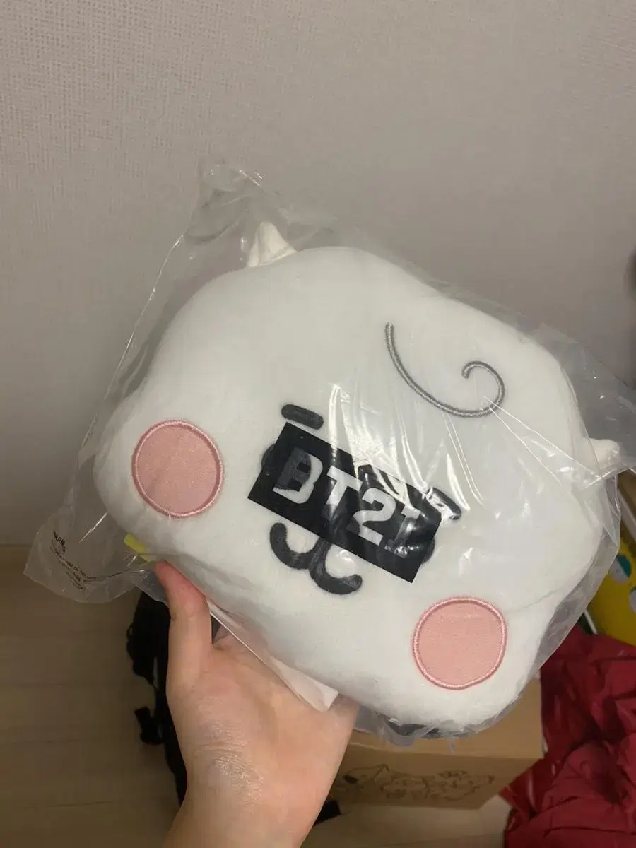 BT21 Aljay Cushion Unsealed