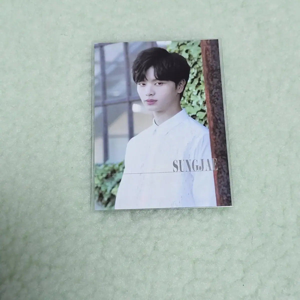 Yook Sungjae Love Limited photocard sell (BTOB/Japan Photocard)