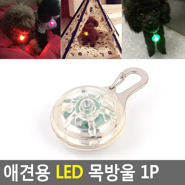 강아지 LED목걸이 야간산책용 목방울