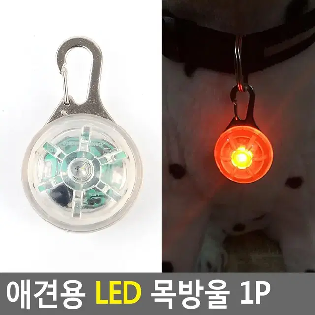 강아지 LED목걸이 야간산책용 목방울