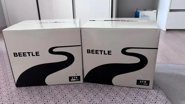 BEETLE 헬멧 정리합니다