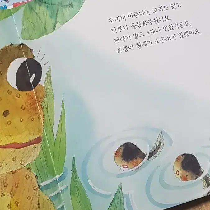 담쟁이 과학동화 30권 유아동