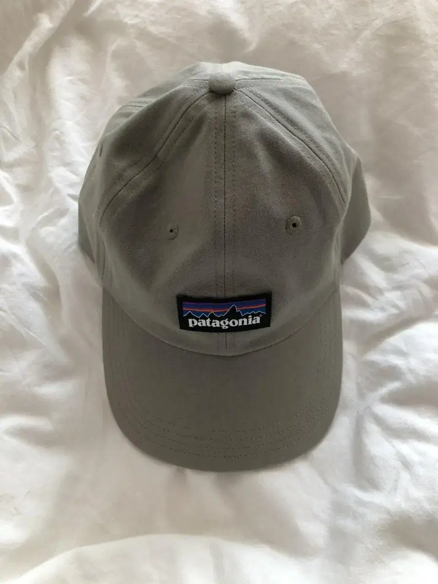 patagonia cap