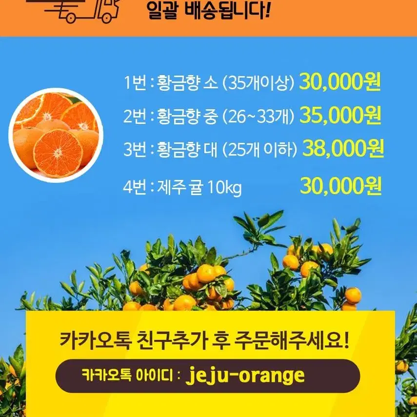 제주농장직송/맛있는 제주황금향과 제주귤팝니다