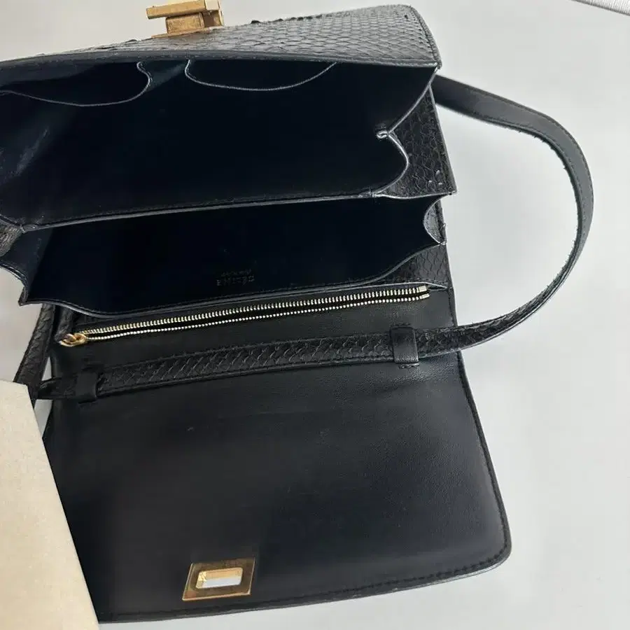 Celine classic box python 셀린느 클래식박스