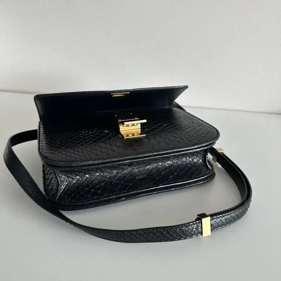 Celine classic box python 셀린느 클래식박스