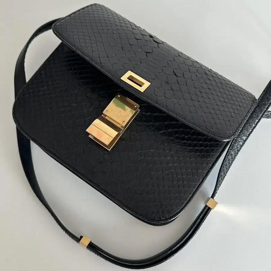 Celine classic box python 셀린느 클래식박스