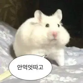 전등스위치