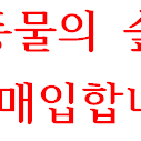 닌텐도 구형 / 동물의 숲 에디션 대량소량 사요~! (미개봉)