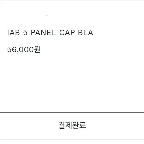 미개봉 새상품) 아이앱 iab 5패널 캡 모자