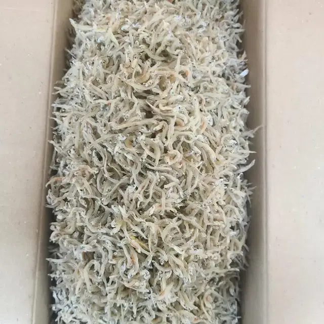 최고급 알배기 지리멸치 볶음용 남해안 (750g/1.5kg)