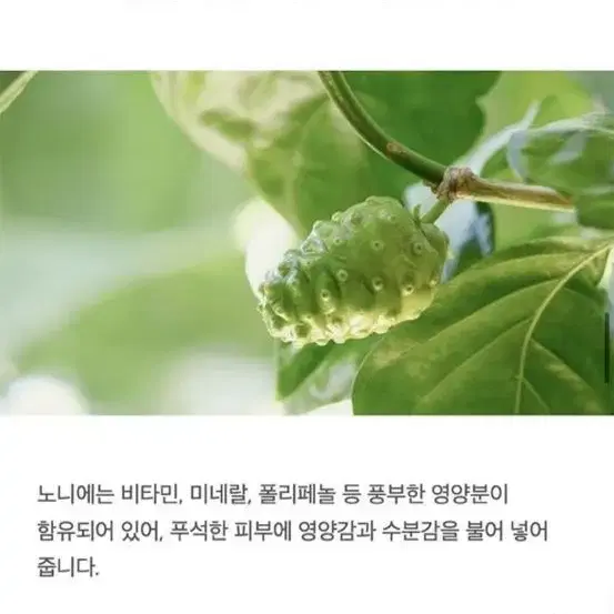 셀리맥스 노니 버블 폼클렌징 새상품