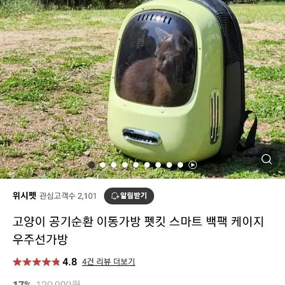 새상품)펫킷 고양이 우주선 가방