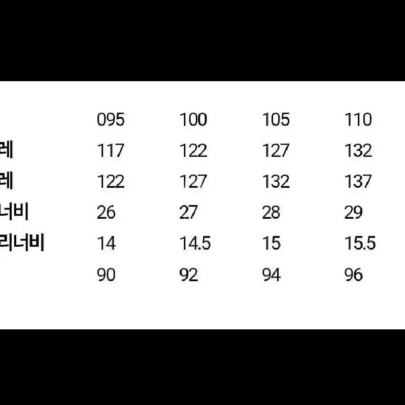 빈폴스포츠 윈드스토퍼 미드 구스다운 110