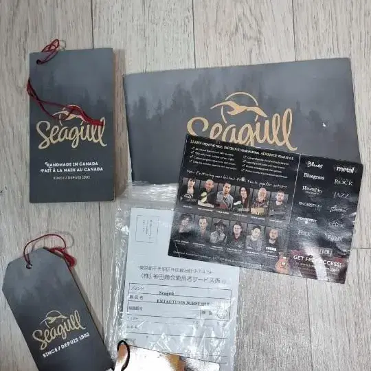 시걸 seagull 어쿠스틱 기타 통기타 캐나다산