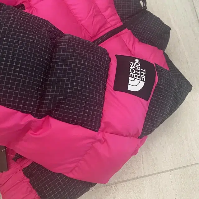 W RUSTA PUFFER PINK GLO 노스페이스 핫핑크 숏패딩