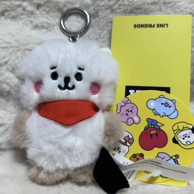 BT21 RJ 플랫퍼 백참