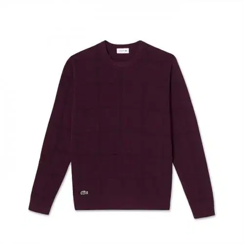 (FR4) LACOSTE Lacoste Men's Wool Knit