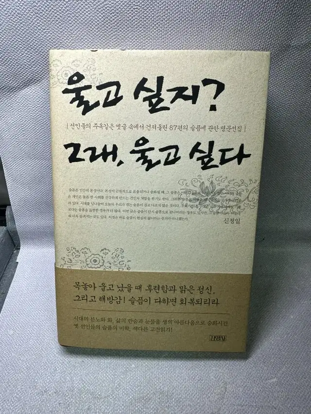 울고 싶지? 그래, 울고 싶다 [ 양장 ] 신정일 저 | 김영사 | 20