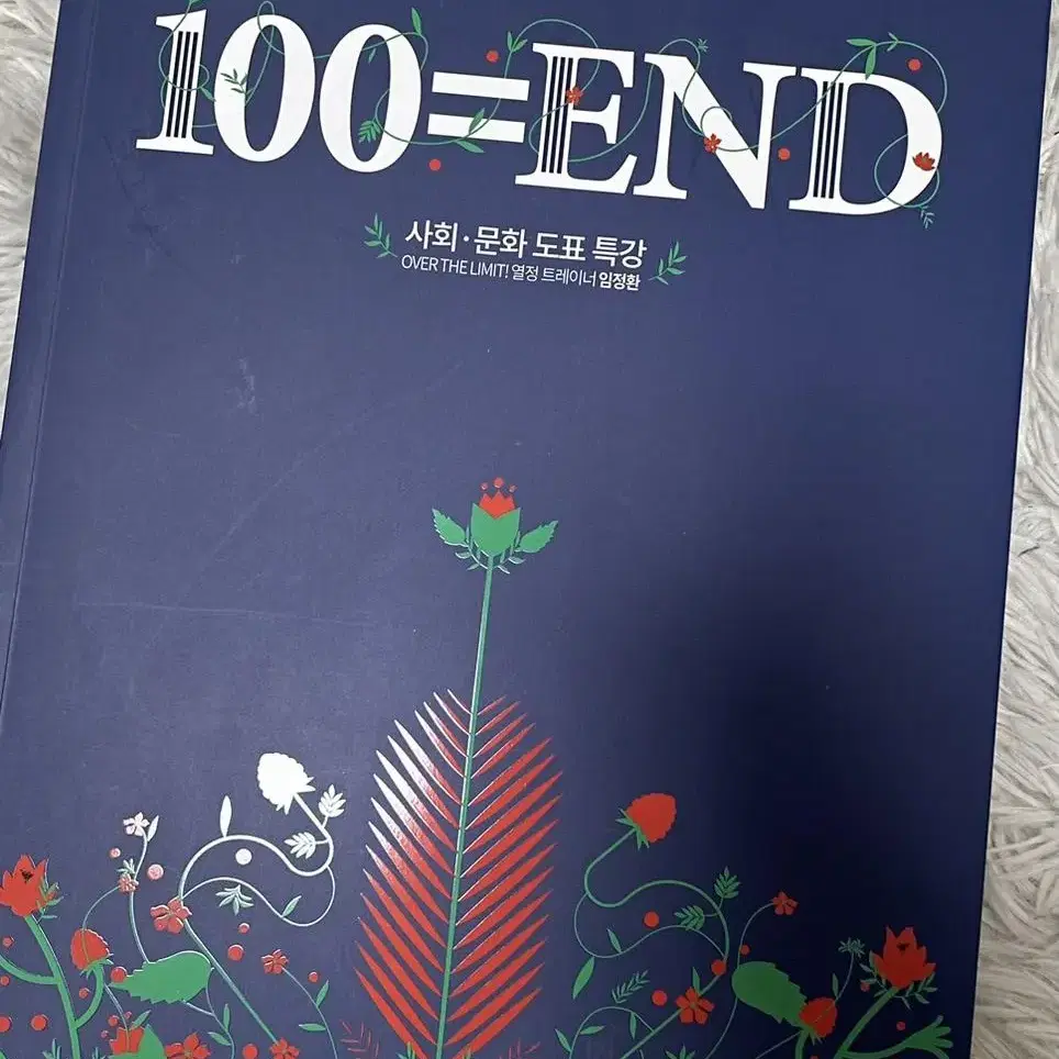 (새책) 임정환 사회문화 도표 문제집 100=end 백앤드