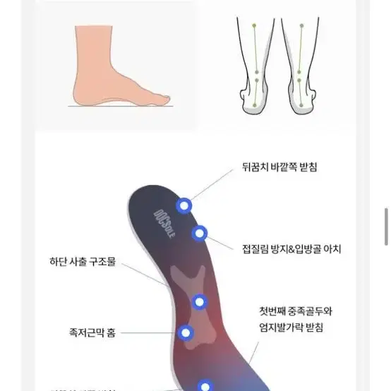 기능성 깔창 닥솔