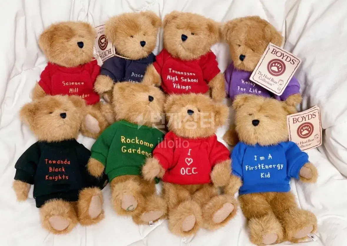 T-Shirt Boys Bear