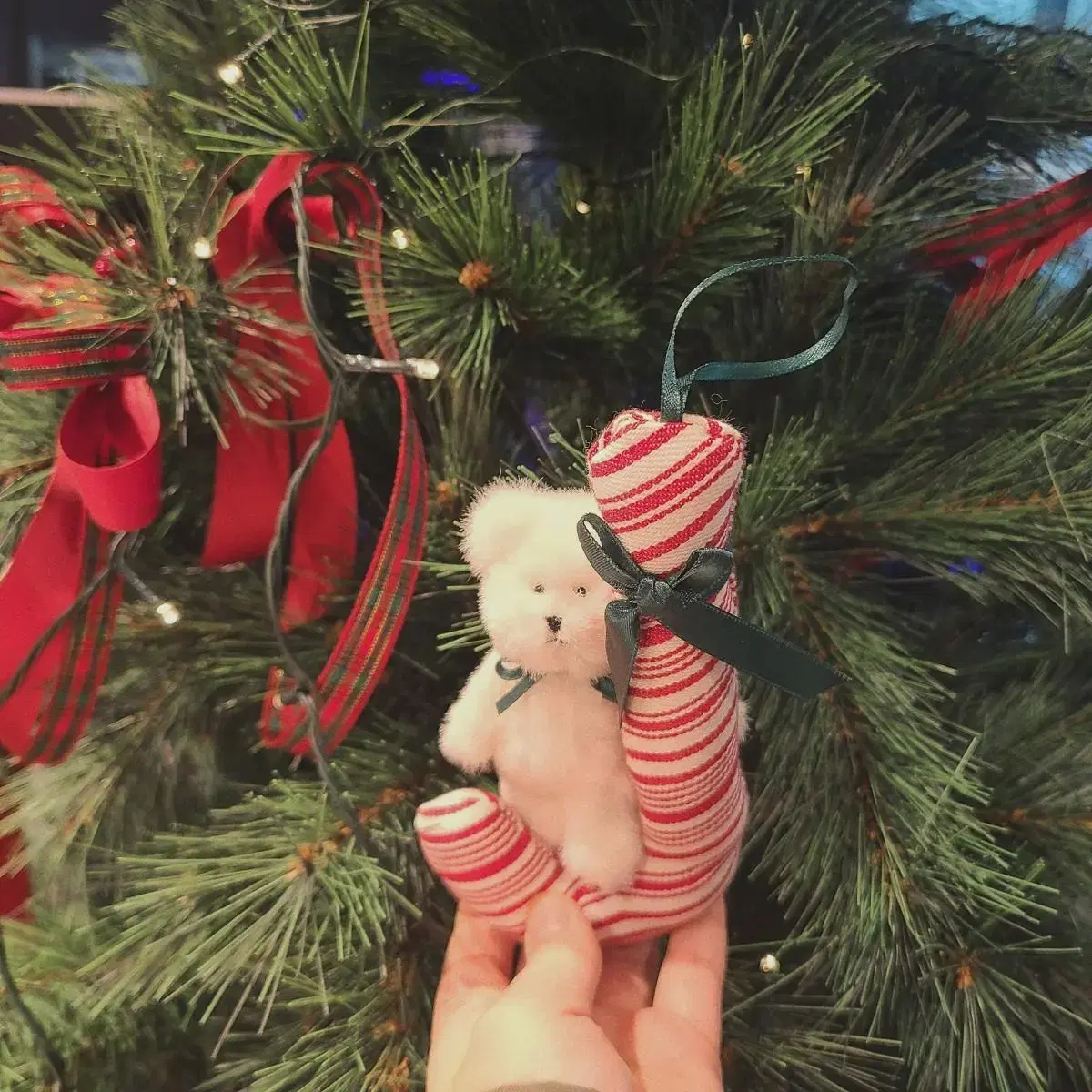 Boys Bear Christmas Candy Cane Pinch Ornament