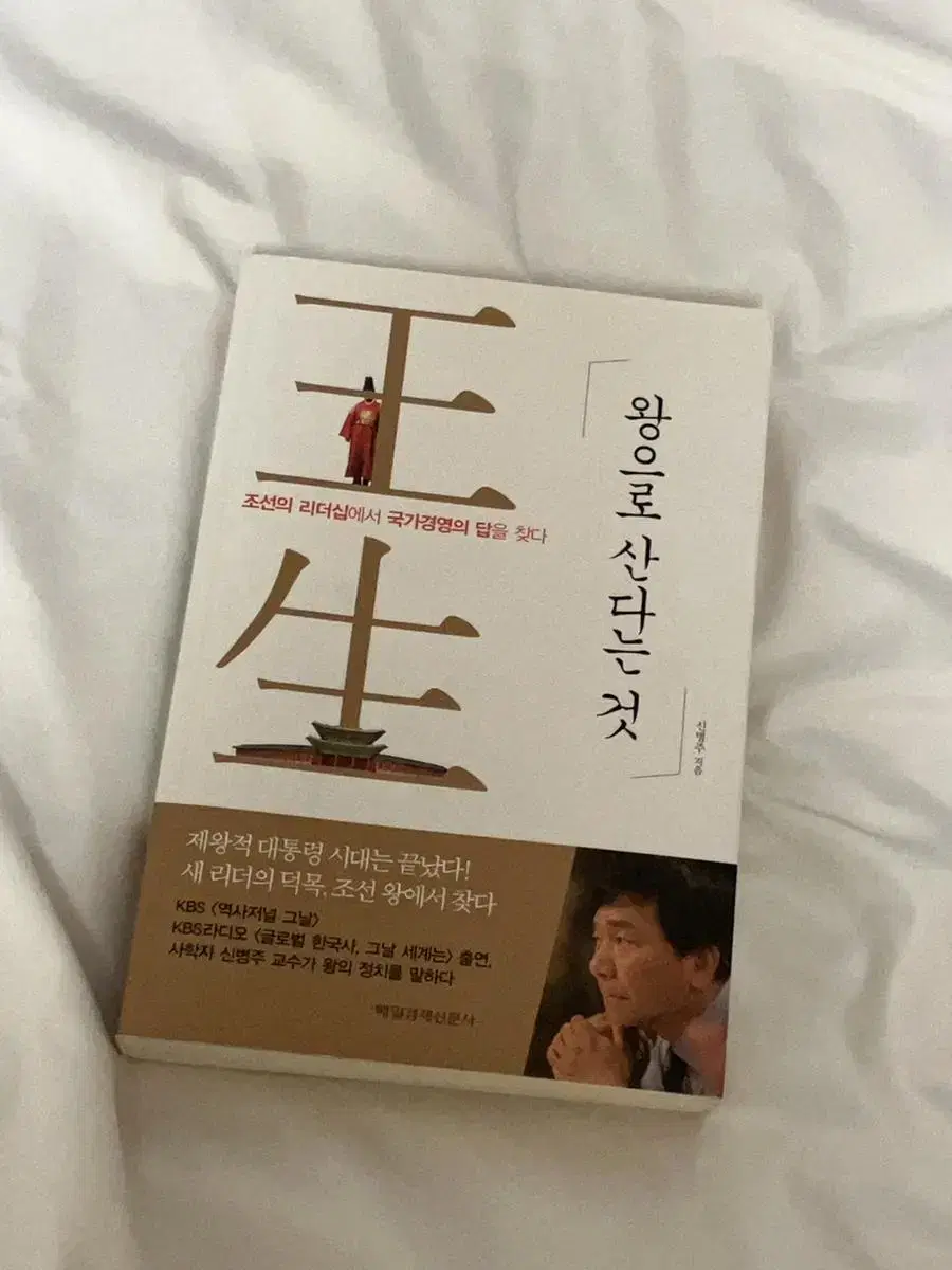 왕으로 산다는 것 리더쉽 책