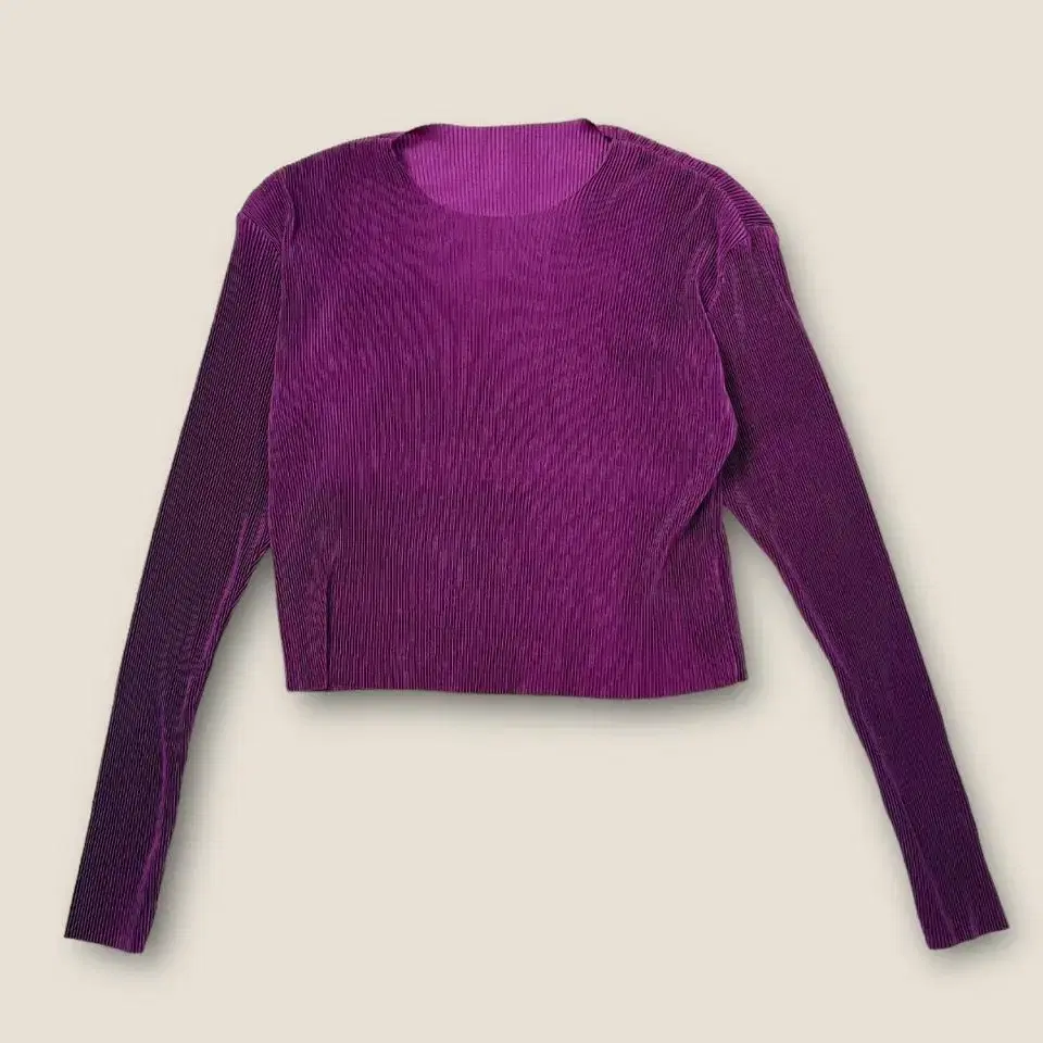 Vintage Pleats Purple Crob Top