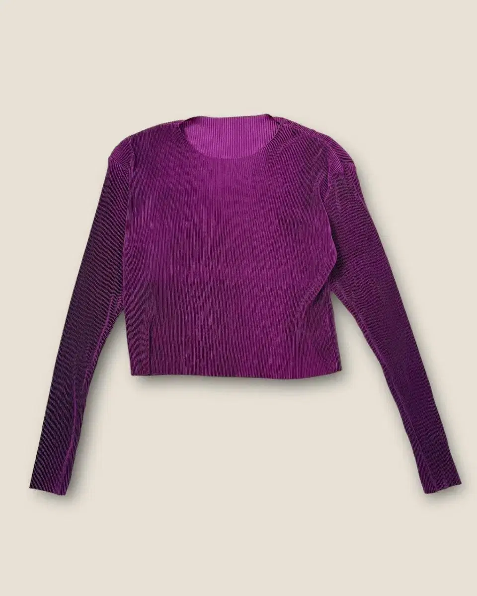 Vintage Pleats Purple Crob Top