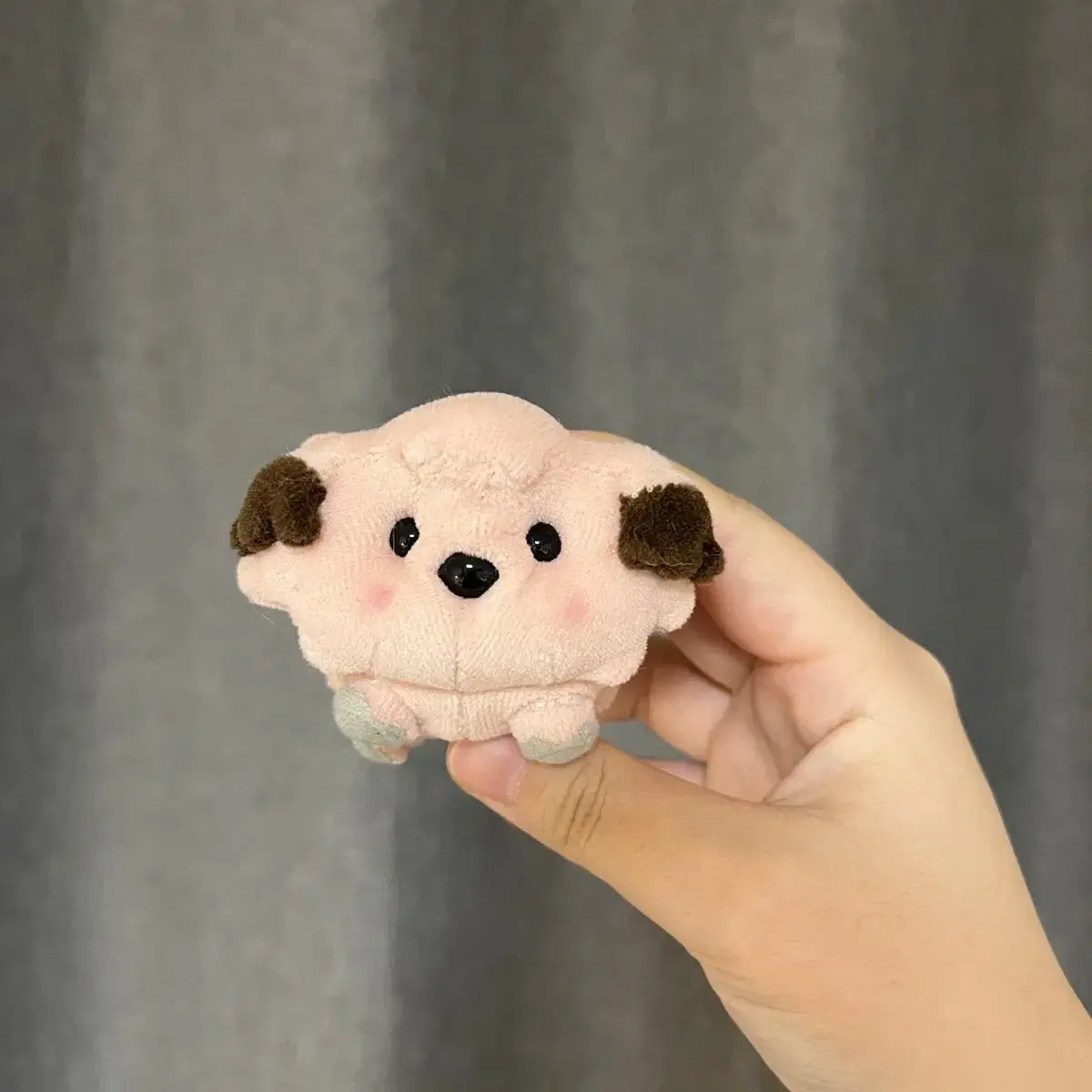 포켓몬? 키링 몬스터 인형 키링