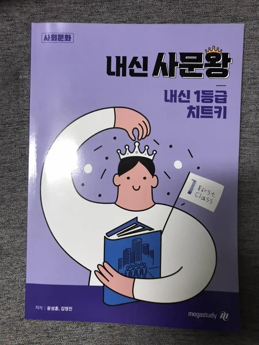 메가스터디 윤성훈 사문 내신사문왕